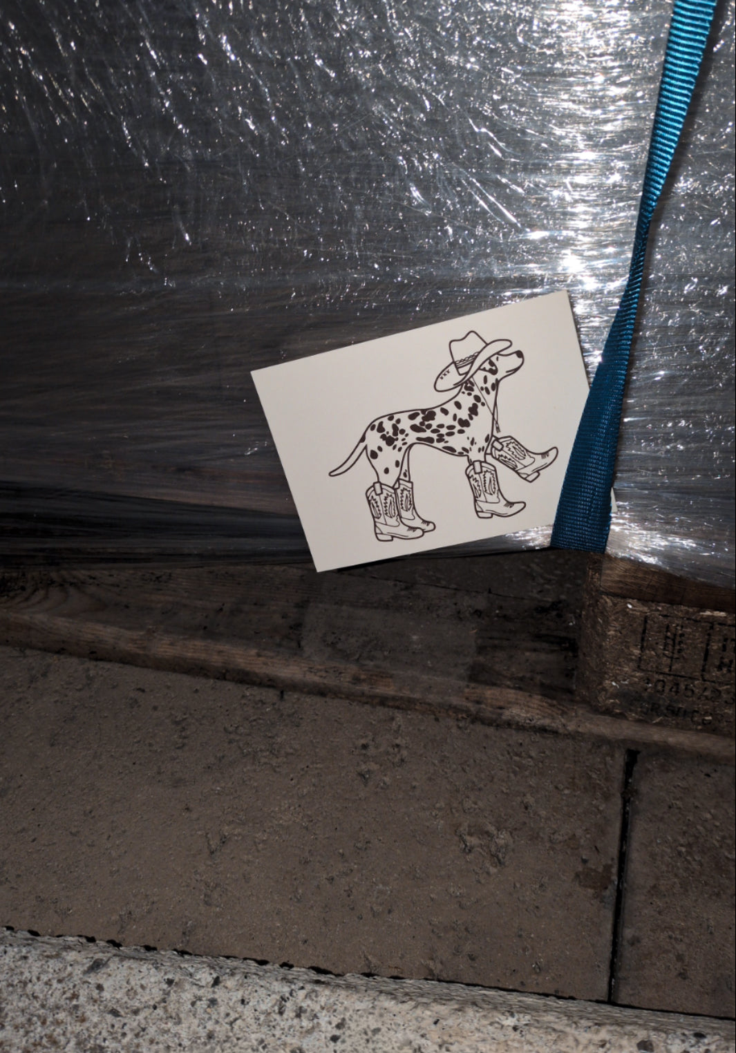 Postkarte Dalmatiner